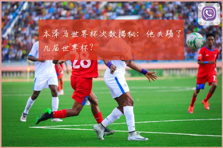 本泽马世界杯次数揭秘：他共踢了几届世界杯？